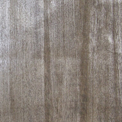 9732 Ива Каспийская