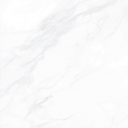 G281-PayerElegant МR