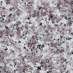 2dd8f36c537b634e1853e439adb1b346