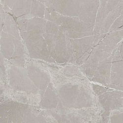 f76156936717a3a2e9ae1ec2319260a8