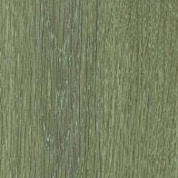 678 Morbida Северный дуб