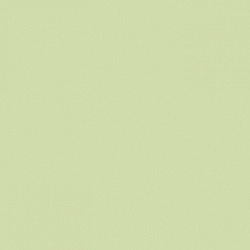 1243 6 Салатовый